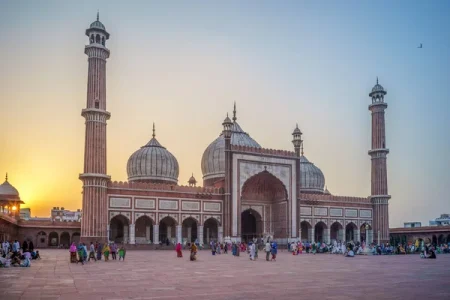 From Delhi: Old & New Delhi Private sightseeing tour