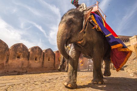 3 Days Golden Triangle Tour